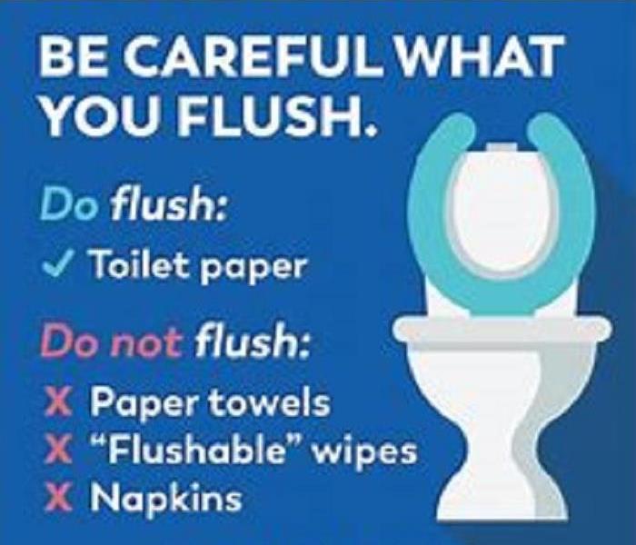 What is Safe to Flush?